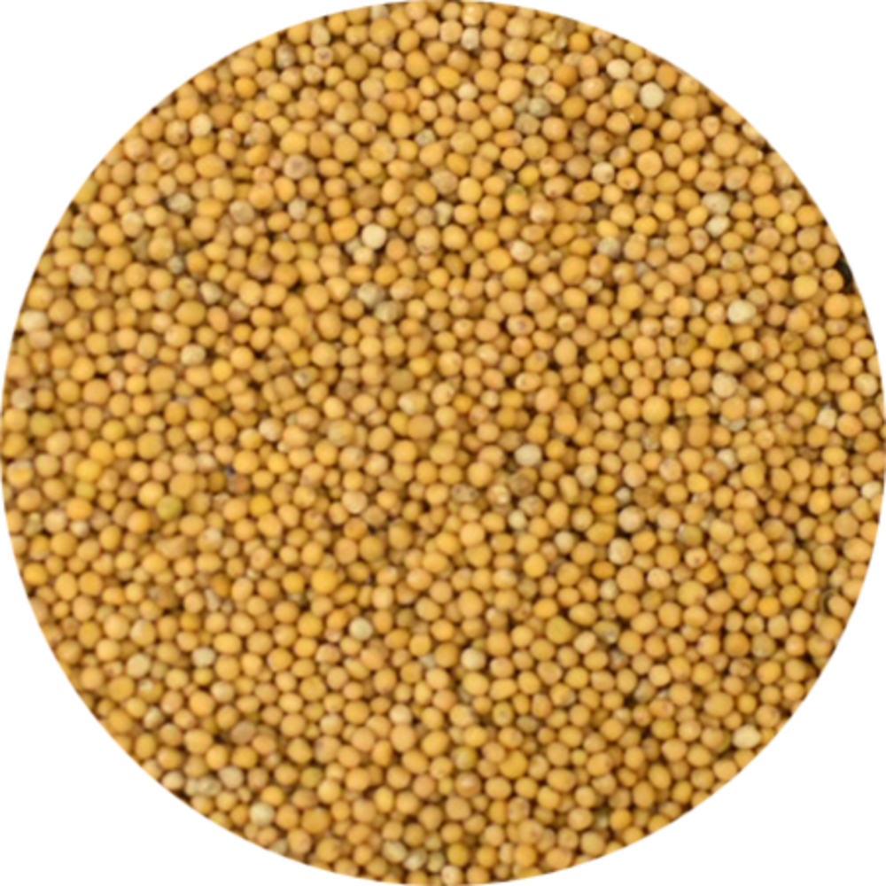 Vitabron Mosterdzaad geel