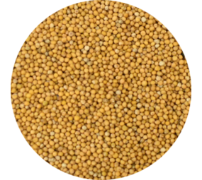  Vitabron Mosterdzaad geel - 40 gram