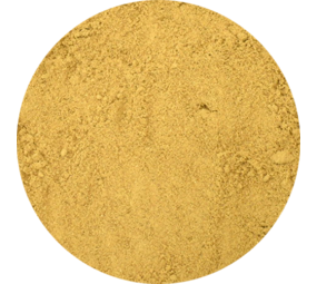  Vitabron Gember/Djahe gemalen - 50 gram