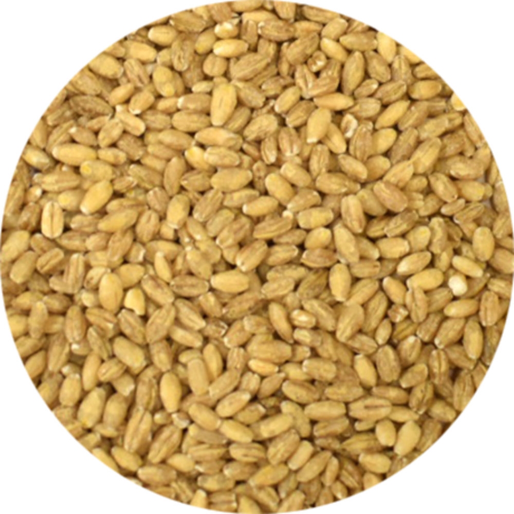 Vitabron Parelgort Vitabron Parelgort