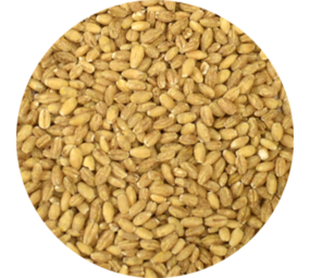 Vitabron Parelgort - 500 gram Vitabron Parelgort - 500 gram