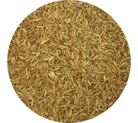 Vitabron Komijnzaad - 30 gram Vitabron Komijnzaad - 30 gram