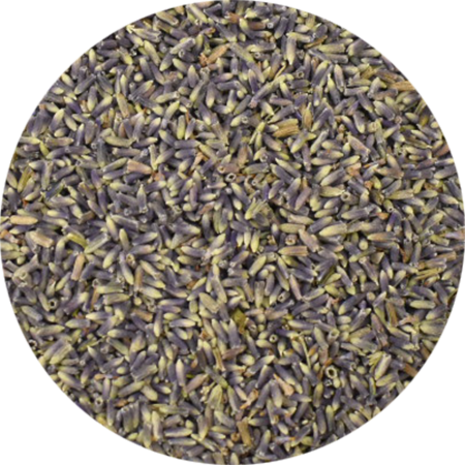 Vitabron Lavendelbloesem