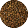 Vitabron Piment korrels Vitabron Piment korrels