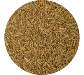  Vitabron Karwij/Kummel - 60 gram