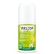 Weleda Citrus 24h deodorant roll-on Weleda Citrus 24h deodorant roll-on