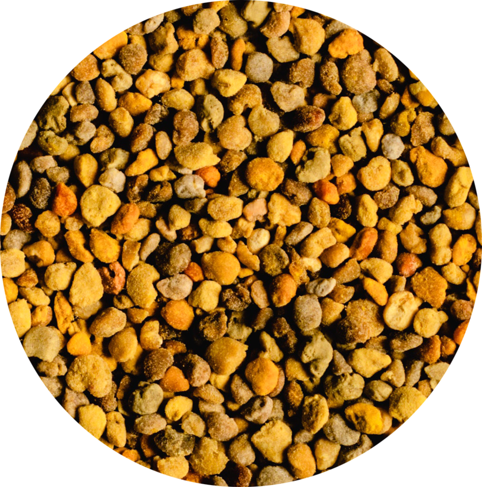 Vitabron Bijenpollen/Stuifmeelkorrels Vitabron Bijenpollen/Stuifmeelkorrels