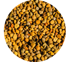  Vitabron Bijenpollen/Stuifmeelkorrels - 250 gram