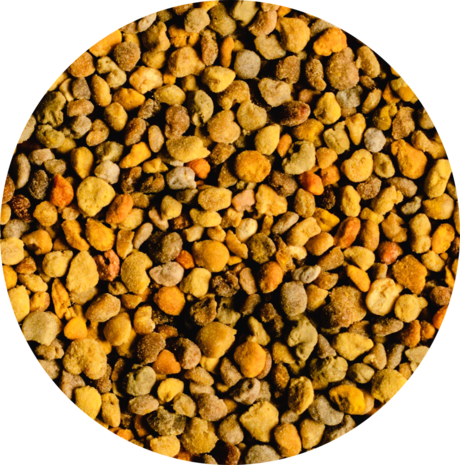 Vitabron Bijenpollen/Stuifmeelkorrels Vitabron Bijenpollen/Stuifmeelkorrels