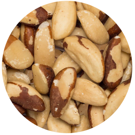 Vitabron Paranoten Vitabron Paranoten