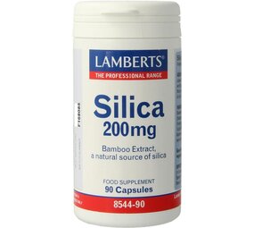 Lamberts Kiezelzuur uit bamboe (silica 200mg) Lamberts Kiezelzuur uit bamboe (silica 200mg)