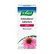 A Vogel Echinaforce tabletten sterk A Vogel Echinaforce tabletten sterk