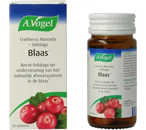A Vogel Cranberry monarda A Vogel Cranberry monarda