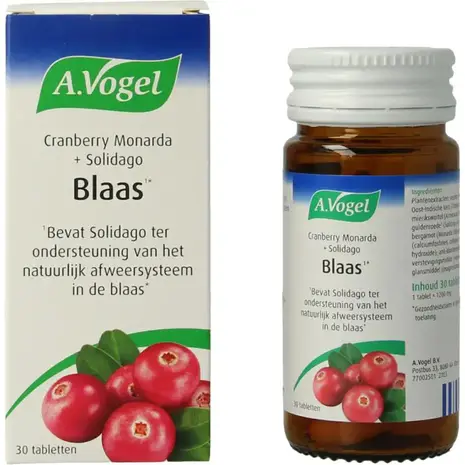 A Vogel Cranberry monarda