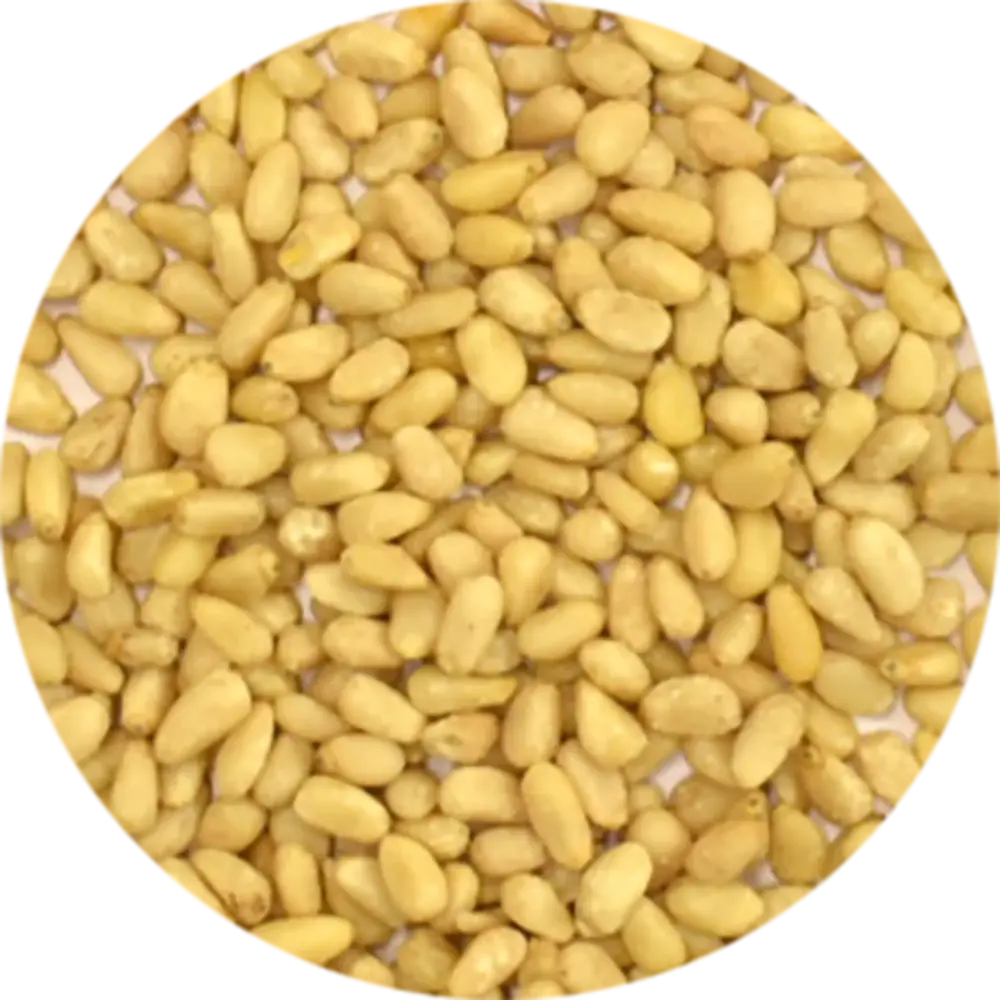 Vitabron Pijnboompitten Vitabron Pijnboompitten