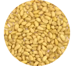  Vitabron Pijnboompitten - 100 gram