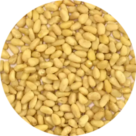 Vitabron Pijnboompitten Vitabron Pijnboompitten