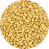 Vitabron Pijnboompitten Vitabron Pijnboompitten