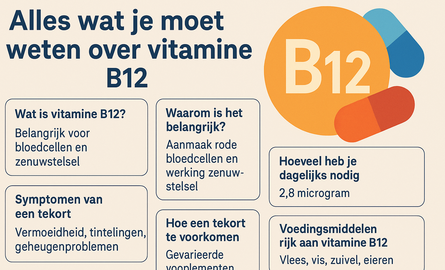 Alles wat je moet weten over vitamine B12: voordelen, tekort en supplementen