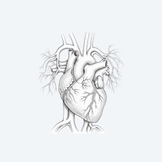Hart- & Bloedvaten