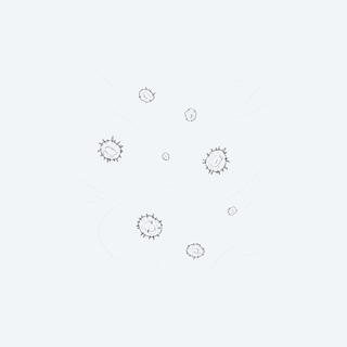 Pollen in de lucht