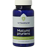 Vitakruid Mucuna pruriens 400mg minimaal 25% L-Dopa Vitakruid Mucuna pruriens 400mg minimaal 25% L-Dopa