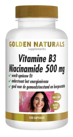 Golden Naturals Vitamine B3 Niacinamide 500 mg