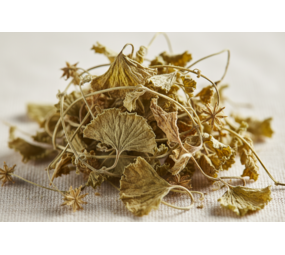  Vitabron Vrouwenmantel