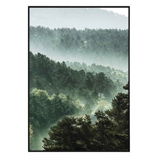 Gerahmtes Bild Nebel im Wald