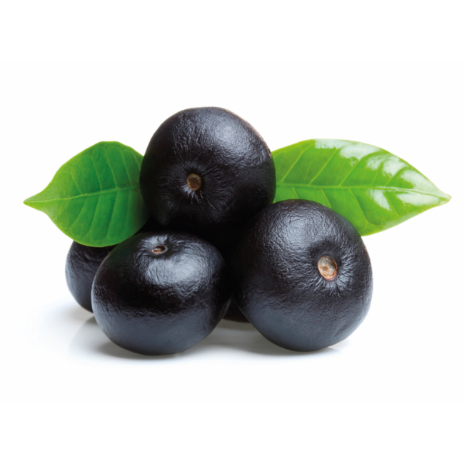 Absolut Acai Berry Vodka 100CL