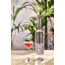 Belvedere blackberry & lemongrass