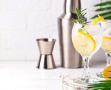 Recept: Een cocktail met vodka en tonic