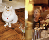 Proost op het nieuwe jaar: 6 stijlvolle vodka geschenken om mee te vieren