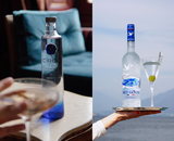 De Top 5 beste vodka keuzes