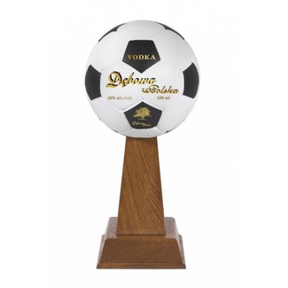 Debowa Debowa Football Cup