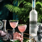 Premium Vodka
