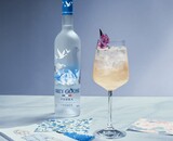 Grey Goose vs Belvedere: wat is het verschil? 