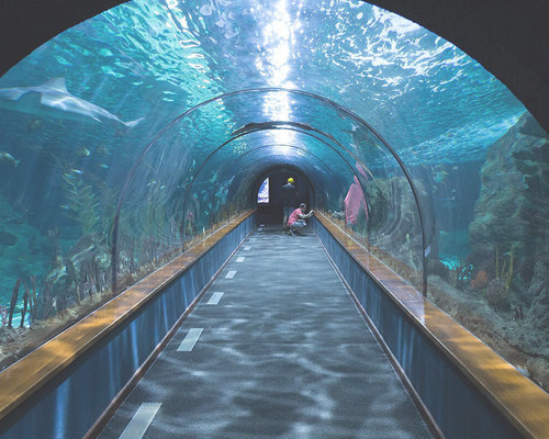 Aquarium