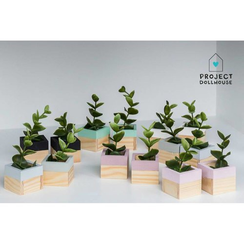 Project Dollhouse Poppenhuis Plantenbakken Set van 2 Project Dollhouse Poppenhuis Plantenbakken Set van 2