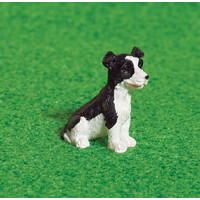 Poppenhuis Border Collie - Benji