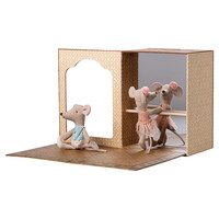 Ballet Muis in Dansstudio - Kleine Broer en Zus