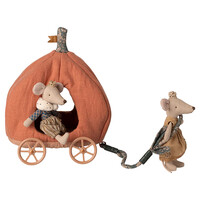 Pompoen Koets - Muis