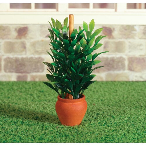 The Dolls House Emporium Poppenhuis Plant in Terracotta Pot