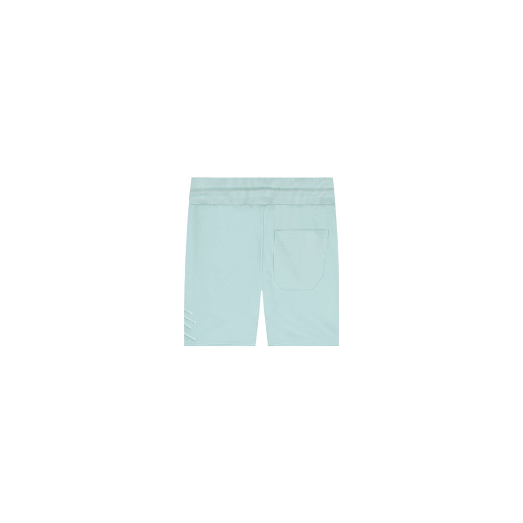 Malelions Malelions Men Duo Essentials Short Light Blue