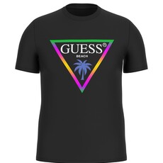 Guess Guess F5GI00J1314-JBLK SS CN TRIANGLE PALM