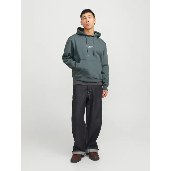 Jack & Jones Jack & Jones 12241687 JORVESTERBRO SWEAT HOOD NOOS Stormy Weather
