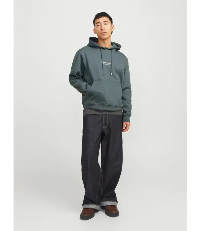 Jack & Jones Jack & Jones 12241687 JORVESTERBRO SWEAT HOOD NOOS Stormy Weather