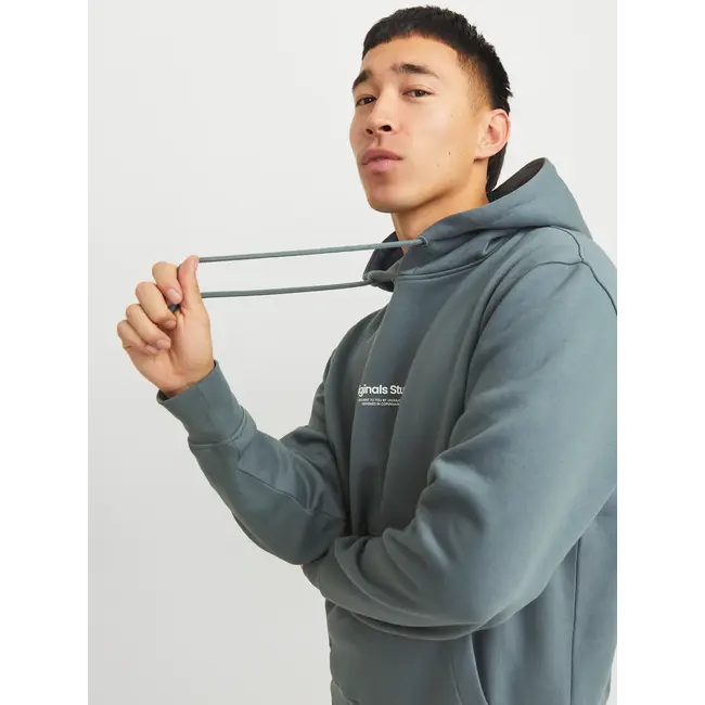 Jack & Jones Jack & Jones 12241687 JORVESTERBRO SWEAT HOOD NOOS Stormy Weather