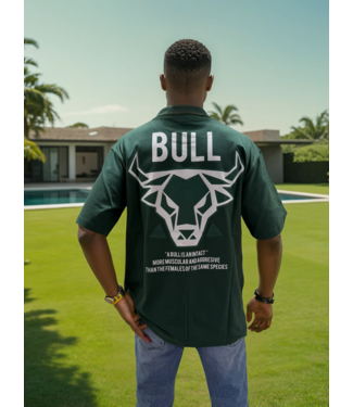 Outlet Bull T-Shirt Green - Oversized Fit