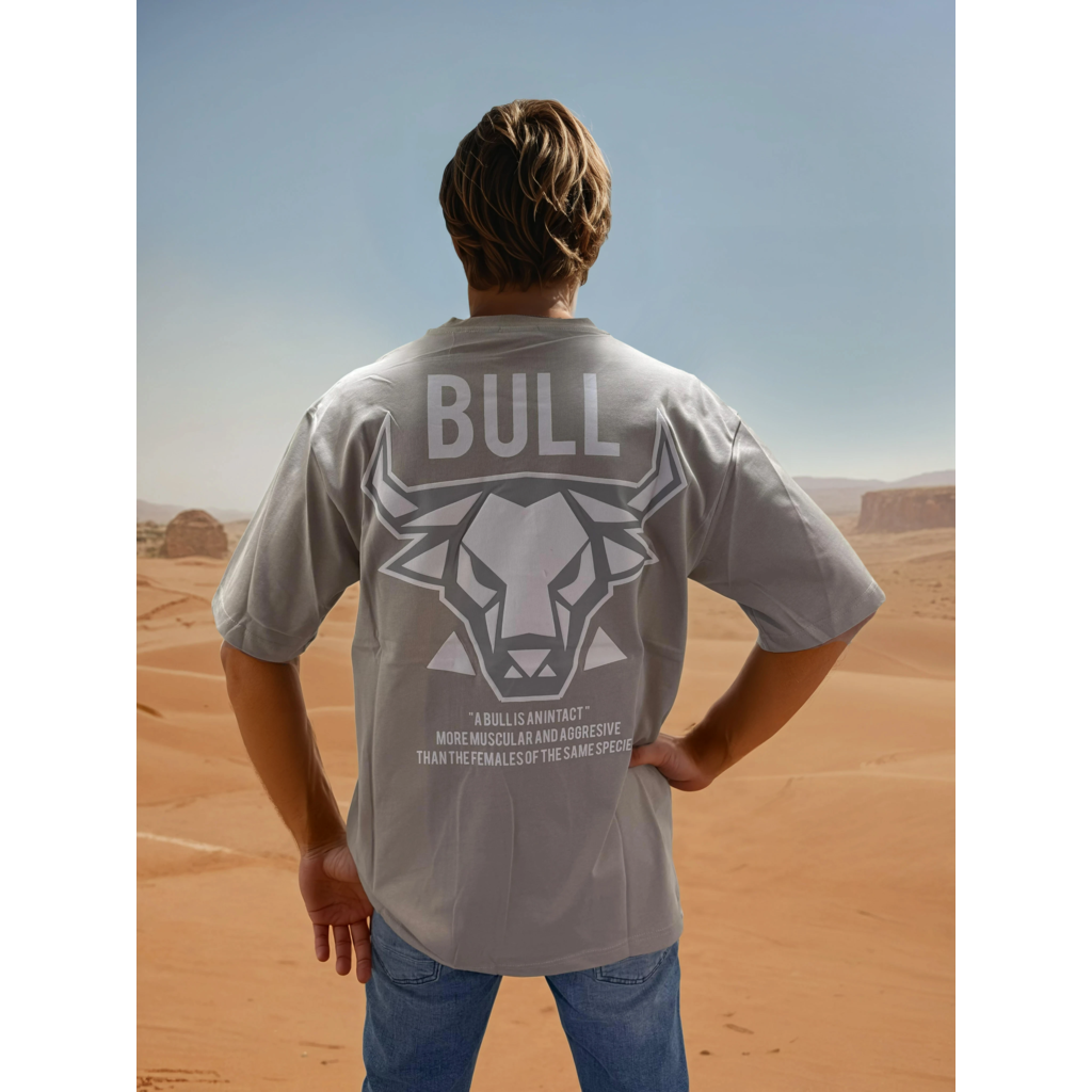 Outlet Bull T-Shirt Grey/Black - Oversized Fit